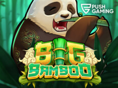 Bitkisel bulmaca. Blog casino.58